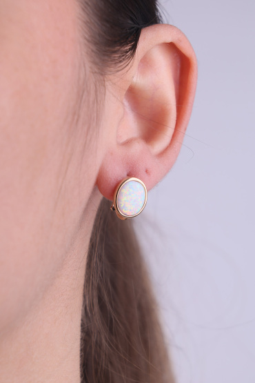 14 Ayar Altın Beyaz Sedefli Taşlı Küpe - Naze Kuyumculuk